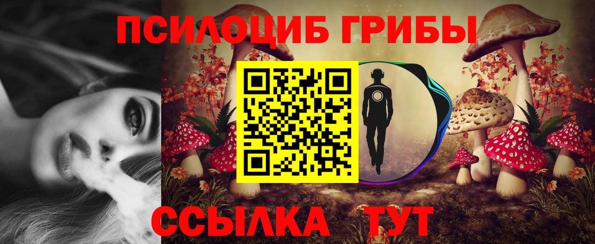 дарнет шоп  Галлюциногенные грибы мухоморы  Галлюциногенные грибы GOLDEN TEACHER  Вход с VPN  Саратов 