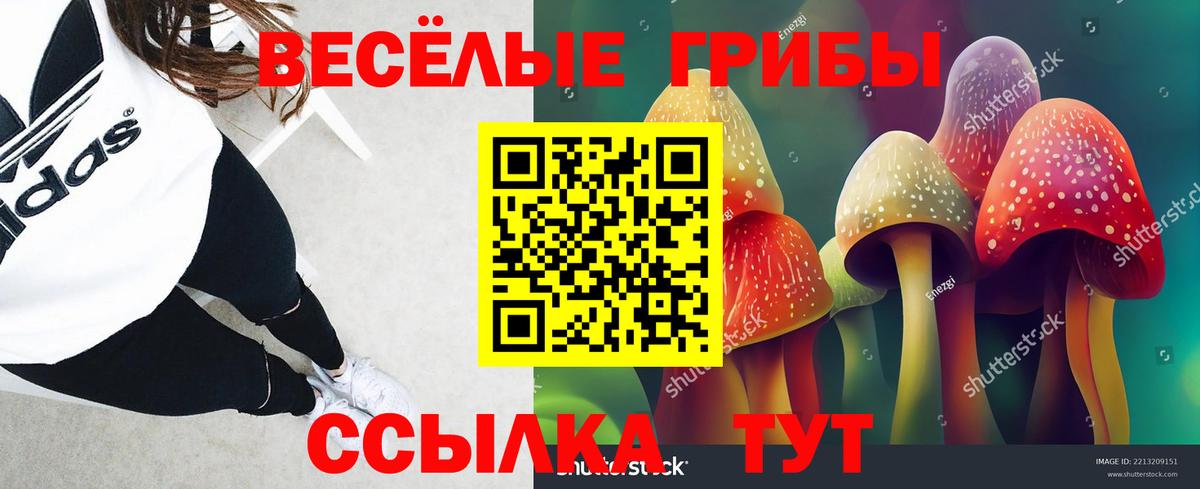 Псилоцибиновые грибы Magic Shrooms Саратов